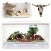 Cattle Skull Tank Decor, Resin Reptiles Hideouts Decorations, Decor Statue