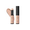 NEW Skin Corrector Stick / NEW 스킨 코렉터 스틱