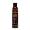 PHILIP MARTIN'S In Oud Wash Shampoo Purificador Profesional, Limpieza Profunda
