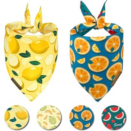 Cute Fruit Dog Bandanas 2 Pack, 4 Patterns Watermelon Lemon Orange Melon, Summer Dog Bibs for Large and XL Breed, Reversible Boy and Girl Pet Scarf（Small）