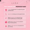 LLBA LLBA Promade Fans | Handmade Volume Eyelashes | Multi