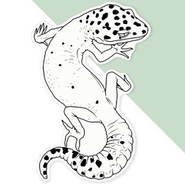 Extra Large 460mm 'Leopard Gecko' Permanent Sticker Decal for Cars/Windows/Bins/Walls (DW00138571)