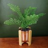 Leaf Indoor Cachepot Planters, Gold Ceramic Wooden Stand, 16cm