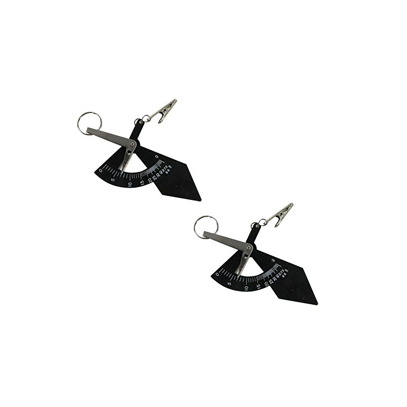 (Set of 2) Accurate World Smallest Postal Weights Scales in
