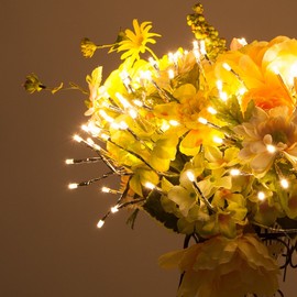 Wintergreen Lighting 12 Silver Star Burst Fairy Light Ball Warm White LED Twinkle Lights - Star Lights - Lighted Branches (12, Silver Branches/Warm White Twinkle Lights)