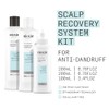 Nioxin Nioxin Scalp Recovery Anti-Dandruff System Kit for Itchy &