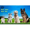 Hicost Heavy Chain Dog Metal Collars, Adjustable Weather Proof Alloy