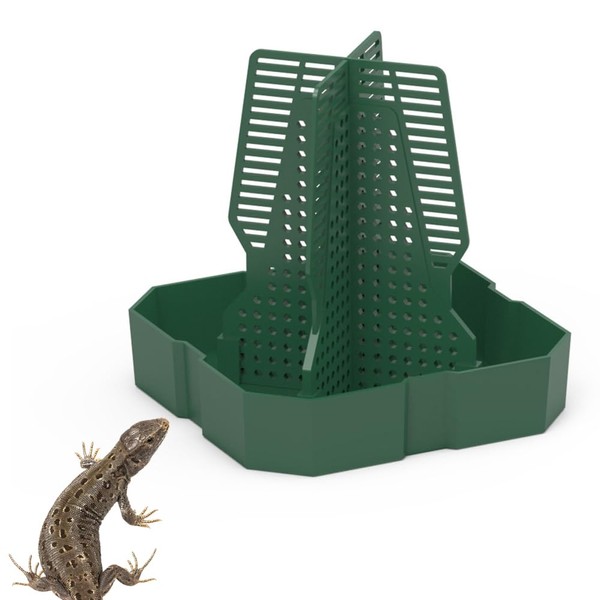 MiOYOOW Bearded Dragon Feeder, Reptile Feeder Box Anti-Escape Reptile Feeding