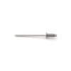 EAGLE 1: Stainless steel Rivets 1/8" x 1/4" (#43) (100,