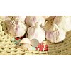 Fresh Organic GARLIC bulbs 10lbs • 5 VARIETIES Chesnok Music