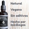 Hongo Melena de Leon 100 Puro - Real Fungi Melena