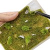 gdeplok Static Grass Mat 5.6 x 4 Inch – Realistic