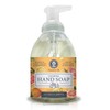 Nature's Oil Foaming Hand Soap, Citrus Grove, 10 Fluid Ounces (Single Unit)