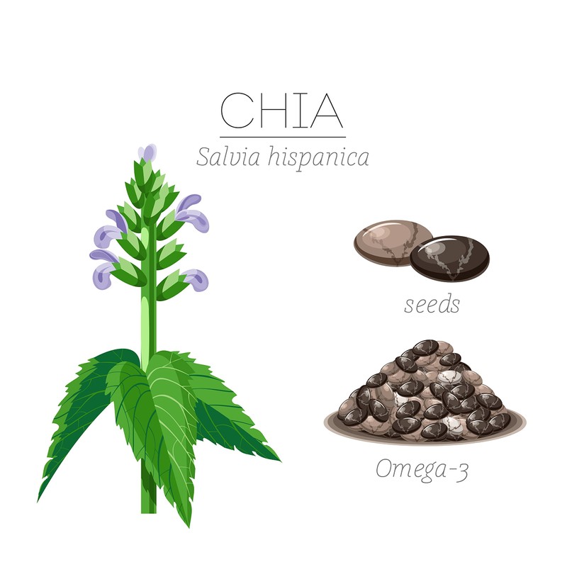 NatureFirst Black Chia Seeds, 500 g