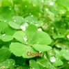 5 Bags Aquarium Plant S.e.e.ds, not Artificial Plastic Plant, Fish