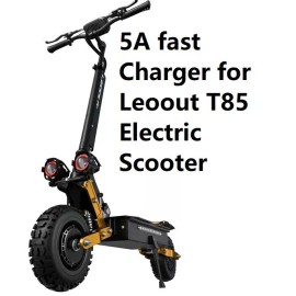 coming data fast 5A battery charger for Leoout T85 60v electric scooter