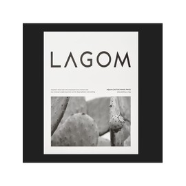 Lagom Aqua Cactus Mask Pack 27ml (5 sheets) / 라곰 아쿠아 캑터스 마스크팩 27ml (5매입)