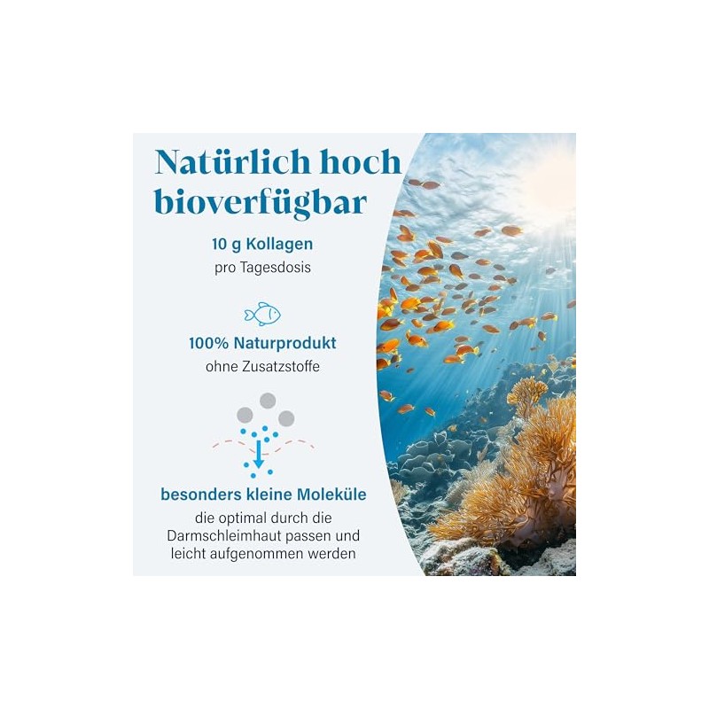 NovaNature Marine Collagen Powder Fish 300 g - Bioactive Collagen
