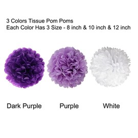 Wartoon tissue paper pom poms flower ball decor paper kit for birthdays, weddings, baby showers, parties, decoration or party decoration