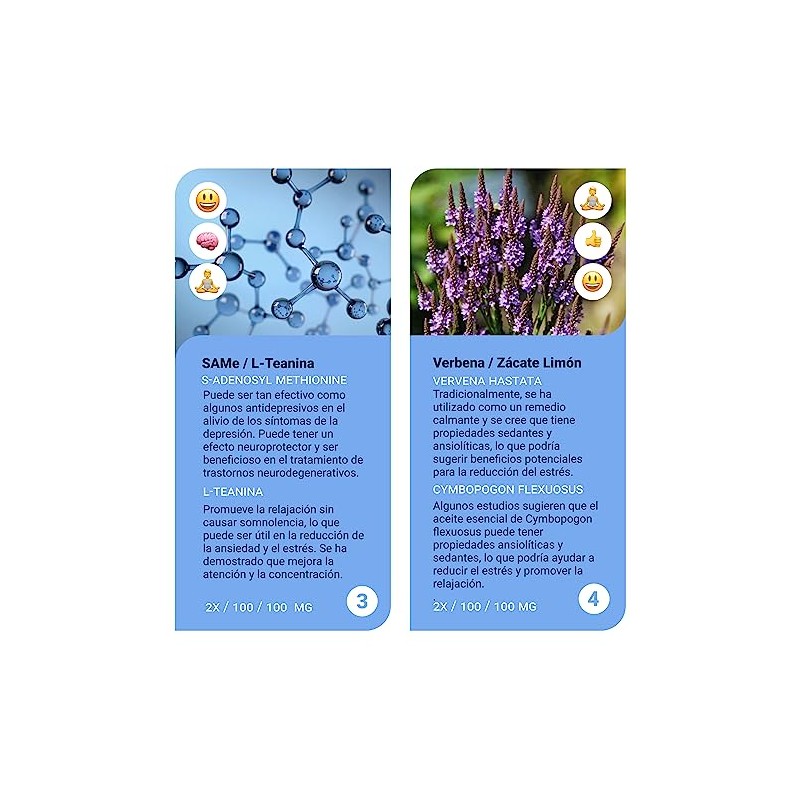 Sapientia Serotonina Nootrópico 100 Natural Gluconato Zinc Pasiflora Teanina Selenio