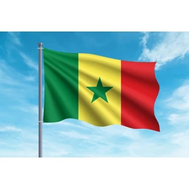 SHATCHI Large 5 x 3FT (150x90Cm) Senegal National Flag Senegalese Polyester Fabric Brass Eyelets for FIFA World Cup Football Rugby Sports Supporter, Green,Yellow and Red