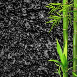 GARDENWISE Horticultural Charcoal for Plants – Organic Bio Char Soil Amendment for Terrariums, Indoor Plants & Gardening, Made in USA (20 quarts)