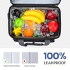 Maelstrom Lunch Box for Men,Insulated Lunch Bag Women/Men,24 Can Leakproof