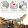 Crested Geckos Travel Carrier with Security Printing Harness Leash Set,Lizard
