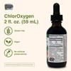 Herbs Etc. ChlorOxygen Chlorophyll Concentrate - Highly-Concentrated Energy Support -