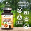 Turmeric Curcumin Supplement 1950mg with Organic Turmeric & Ginger, 95%