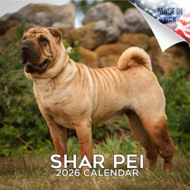 2025 2026 Shar Pei Calendar - Dog Breed Monthly Wall Calendar - 12 x 24 Open - Thick No-Bleed Paper - Giftable - Academic Teacher's Planner Calendar Organizing & Planning - Made in USA