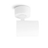 linovum TENJO Ceiling Spotlight Wall Spotlight Swivelling White Round with