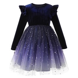 Hvididan Navy Blue Toddler Dress, Baby Velvet Tutu Dress 2T, Tulle Fall Winter Long Sleeve Ruffle Holiday Party Dress for Girls
