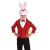Fun Shack Child Mister Rabbit Costume - AGE 10 -