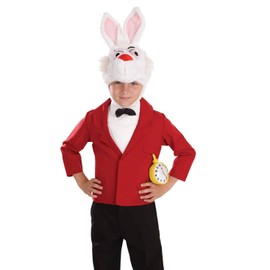 Fun Shack Child Mister Rabbit Costume - AGE 10 - 12 YRS (XL)