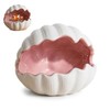 Ceramic Shell Fish Hideout Axolotl Tank Decor Aquarium Cave Small