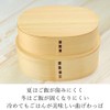 Lunch Box Bent wappa 入子 2 Tier Girls Choose CC