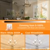 BROLSKUN E11 LED Bulb 150w Dimmable 120V 15W LED Mini