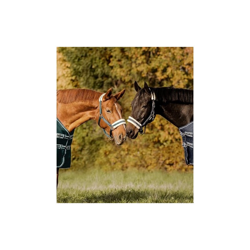WALDHAUSEN Elegant Headcollar PON, Green