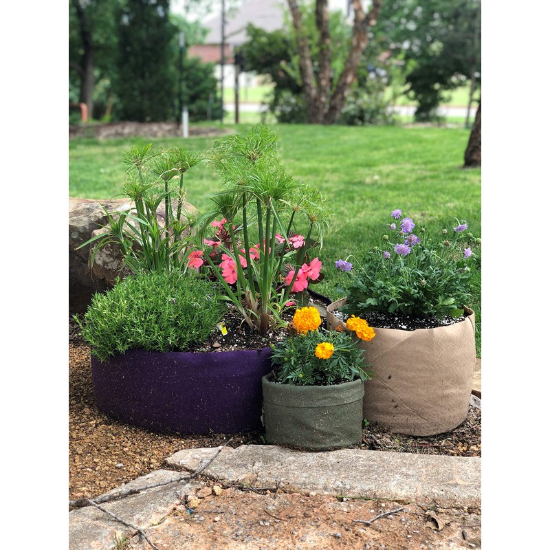 Smart Pots 25-Gallon Smart Pot Soft-Sided Container, Tan