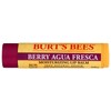 Burts Bees, Bálsamo labial Agua Fresca, 0.15 onzas, 1 unidad