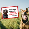 German Wirehaired Freilaufender Dog Sign with Saying Door Sign Dog