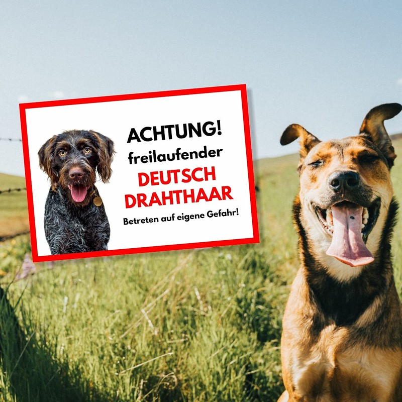 German Wirehaired Freilaufender Dog Sign with Saying Door Sign Dog