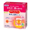 Megurythm Steam Heating Sheet, Stick to Inner Surface of Undergarment,