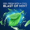 Oral-B ADV Floss Pick W/Scope 75
