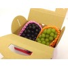 Hand Bag OT-1 Deep Box, Large Grapes, For Approx. 2.2