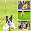 Snagle Paw 100Ft Dog Trolley System With 10Ft Tie Out