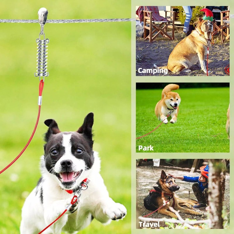 Snagle Paw 100Ft Dog Trolley System With 10Ft Tie Out