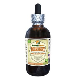 Bilberry (Vaccinium Myrtillus) Tincture, Organic Dried Leaf Liquid Extract (Brand Name: HerbalTerra, Proudly Made in USA) 2 fl.oz (60 ml)