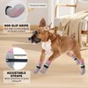 SCENEREAL Dog Socks to Prevent Licking Paws for Hardwood Floors,